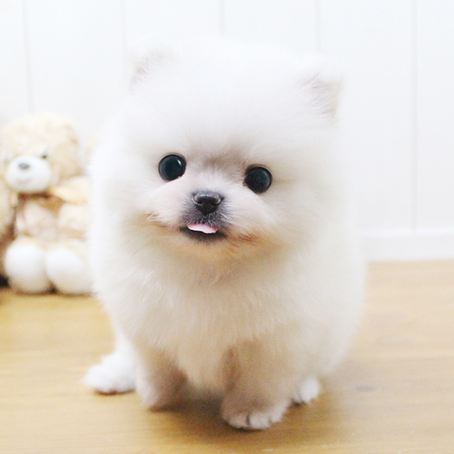 상품 섬네일