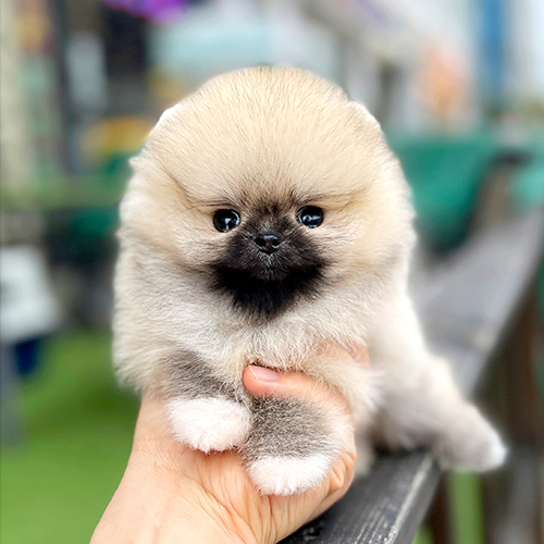 상품 섬네일