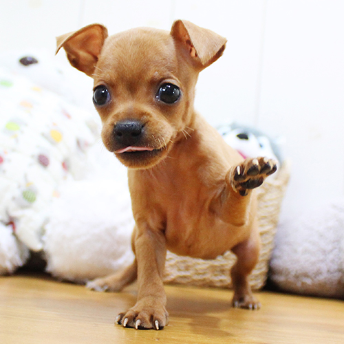 상품 섬네일
