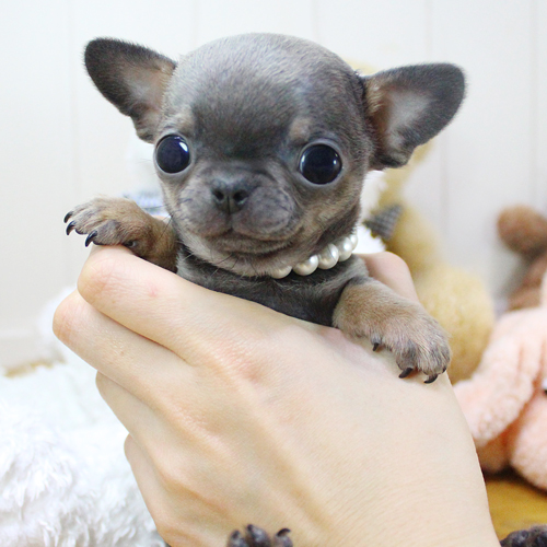 상품 섬네일