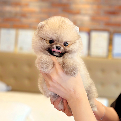 상품 섬네일