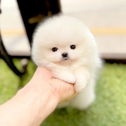 상품 섬네일