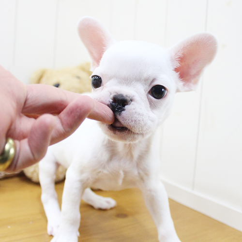 상품 섬네일