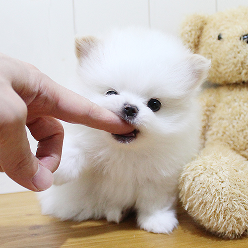 상품 섬네일