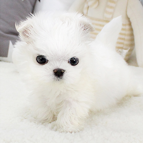 상품 섬네일